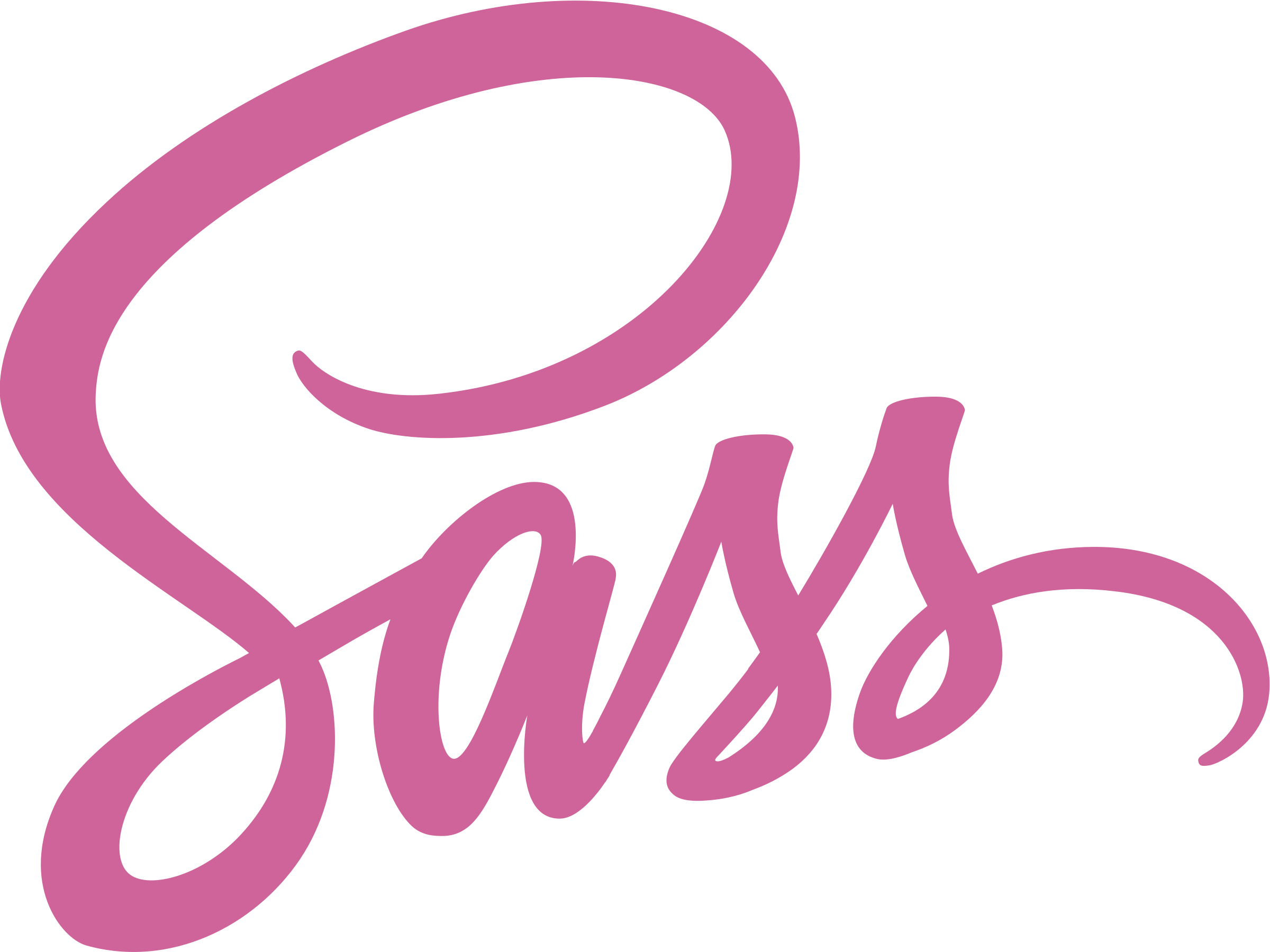 sass logo image